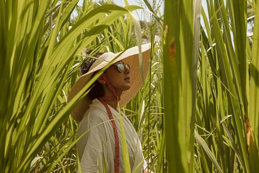 Willa Yats Cocoon Kaliurang Zewnętrze zdjęcie